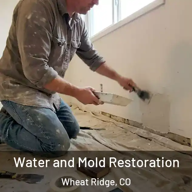  Water and Mold Restoration Wheat Ridge, CO