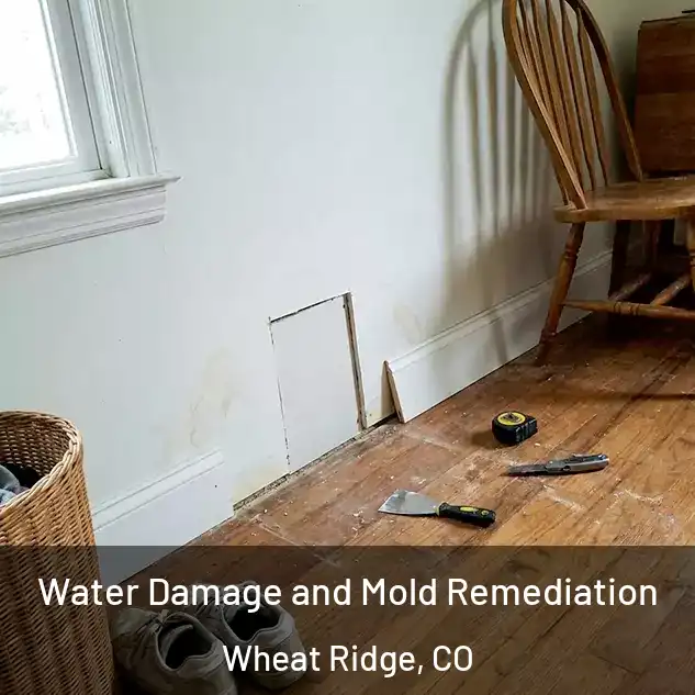  Water Damage and Mold Remediation Wheat Ridge, CO