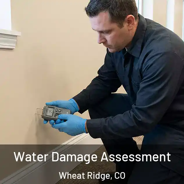  Water Damage Assessment Wheat Ridge, CO