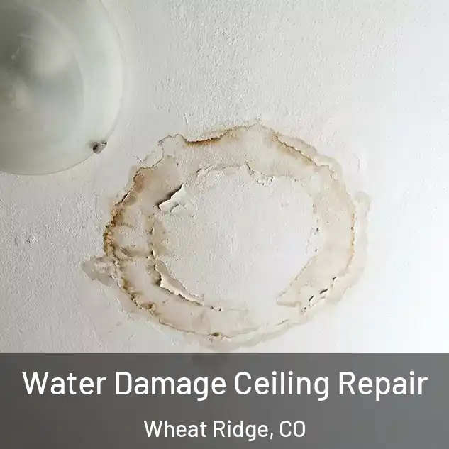  Water Damage Ceiling Repair Wheat Ridge, CO
