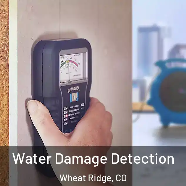  Water Damage Detection Wheat Ridge, CO
