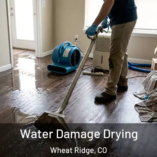  Water Damage Drying Wheat Ridge, CO