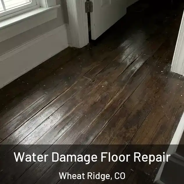  Water Damage Floor Repair Wheat Ridge, CO