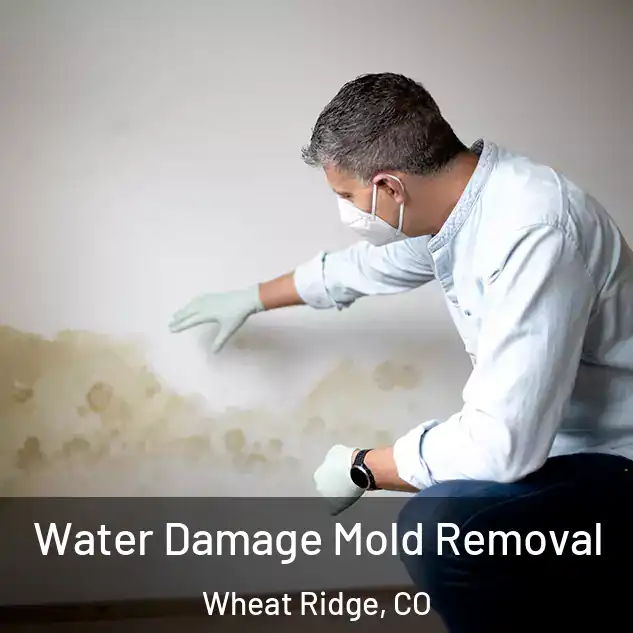  Water Damage Mold Removal Wheat Ridge, CO