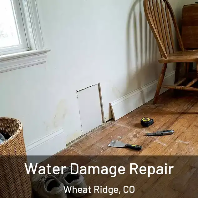  Water Damage Repair Wheat Ridge, CO