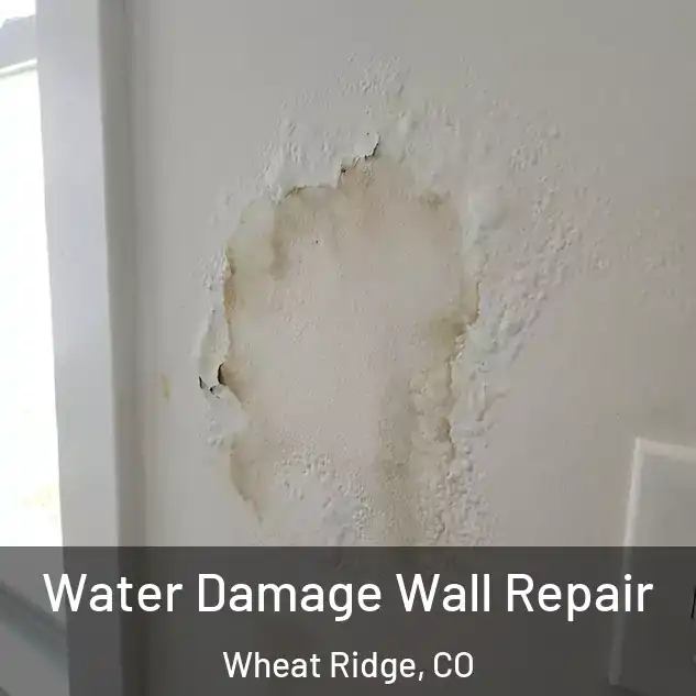  Water Damage Wall Repair Wheat Ridge, CO