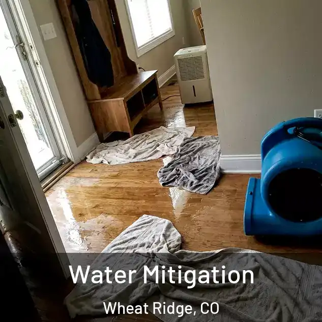  Water Mitigation Wheat Ridge, CO