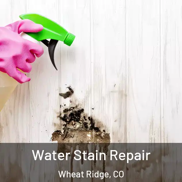  Water Stain Repair Wheat Ridge, CO