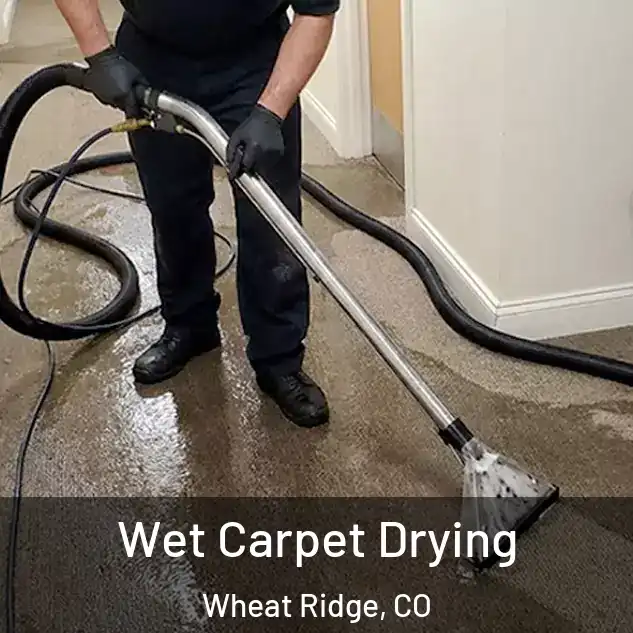  Wet Carpet Drying Wheat Ridge, CO