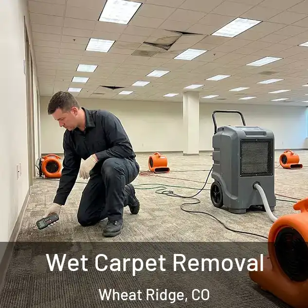  Wet Carpet Removal Wheat Ridge, CO